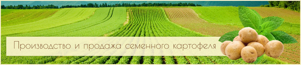 Контакты